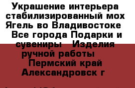 Украшение интерьера стабилизированный мох Ягель во Владивостоке - Все города Подарки и сувениры » Изделия ручной работы   . Пермский край,Александровск г.